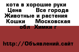кота в хорошие руки › Цена ­ 0 - Все города Животные и растения » Кошки   . Московская обл.,Химки г.
